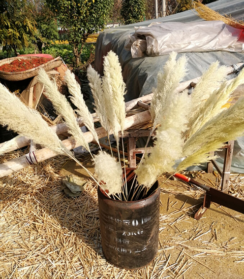 Artificial Flowers And Plants
